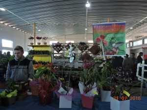 DSCN3698
