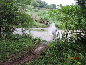 DSCN4254