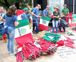 grito de alerta 6