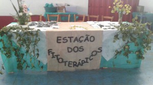 encontro sementes 5