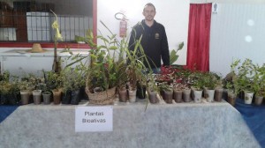 encontro sementes 6