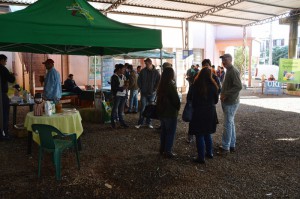 seminario 13
