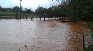 sintasul 2