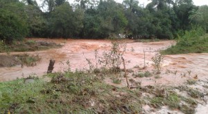 sintasul3
