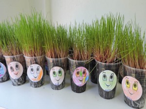 MEIO AMBIENTE EMEI (5)