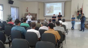 apicultura 2
