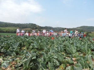 DSCN2653
