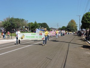 desfile 3