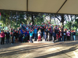 creluz 2